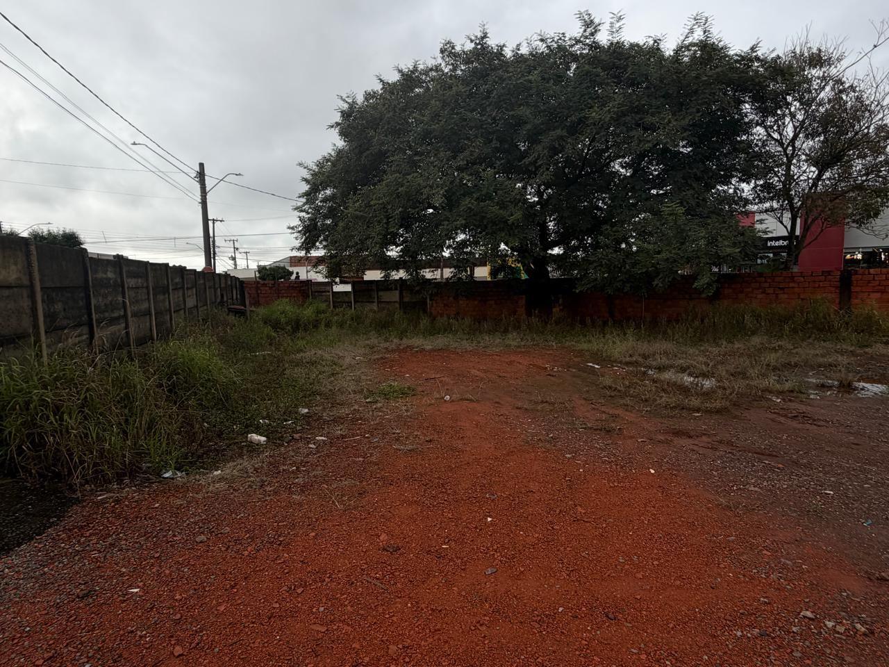 Acompanhamento técnico — Cliente 02, Taquarituba/SP